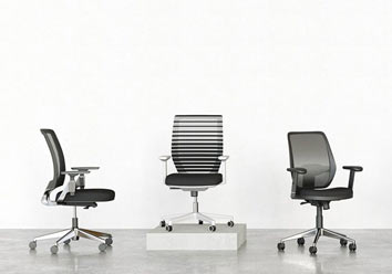 Ergonomics_main_for_Websiote0