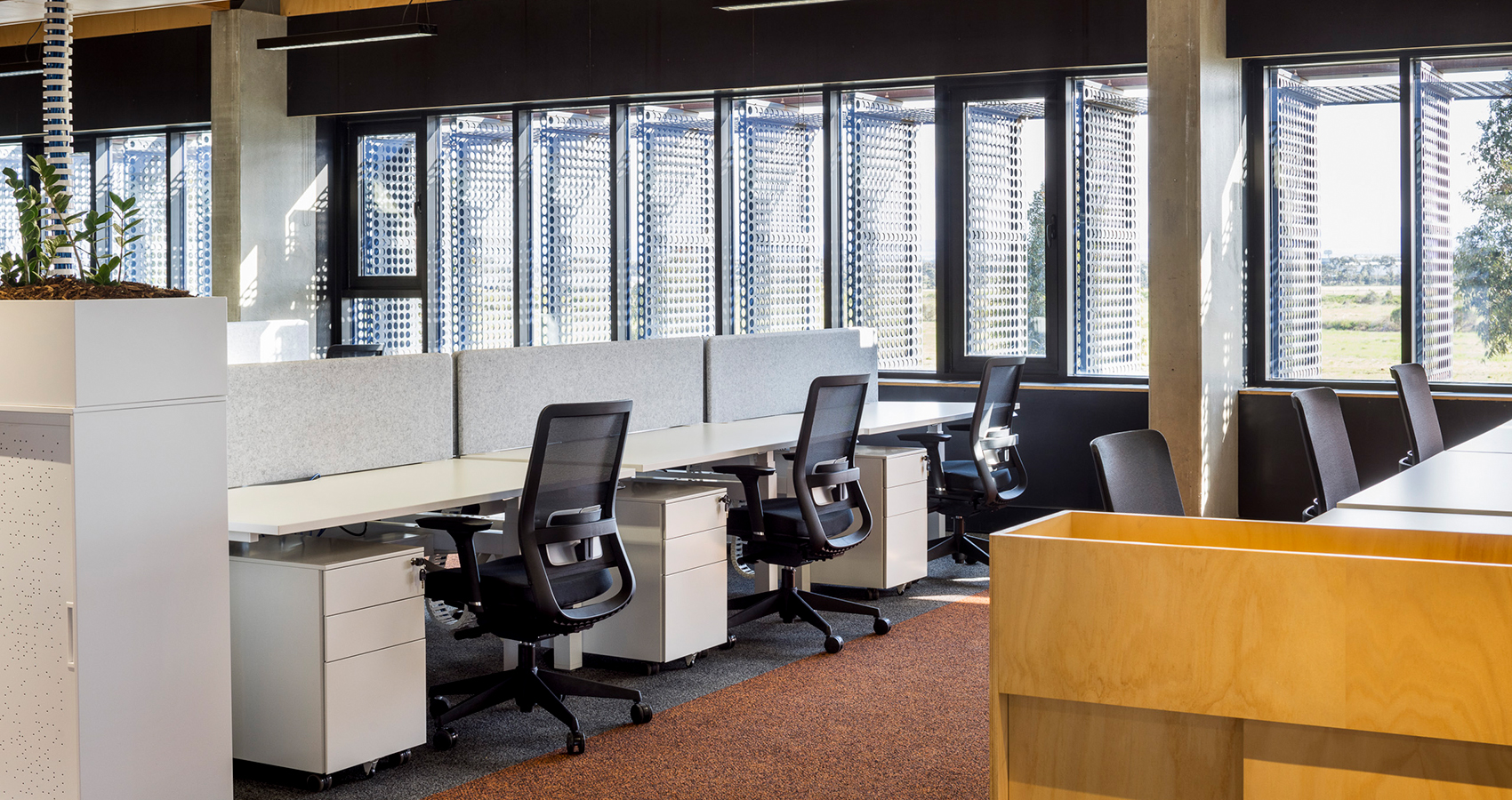 Mac Killop Family Services Project - Open office
