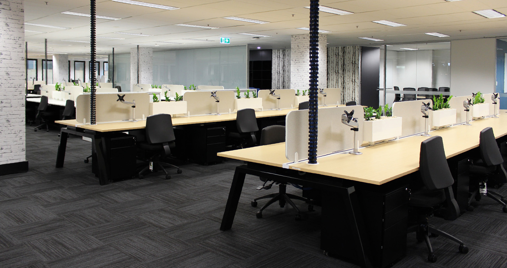 Krost Projects Sydney CBD Office